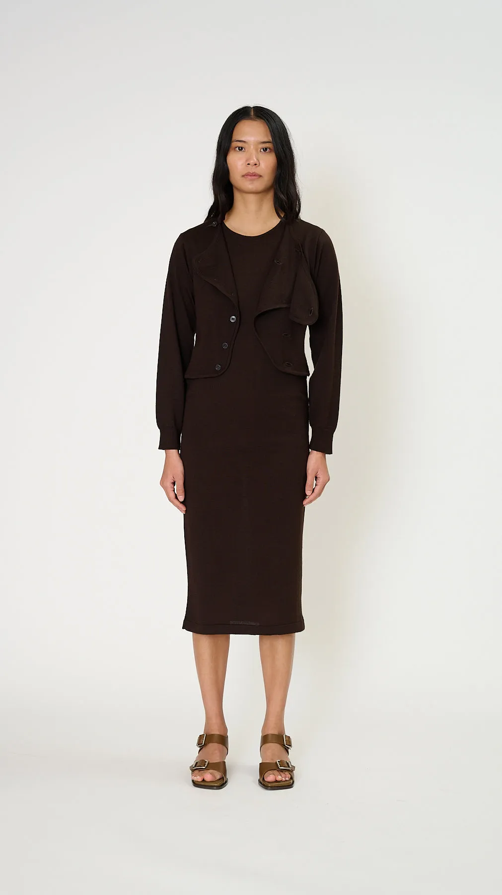Cardigan Dress in Pecan Brown