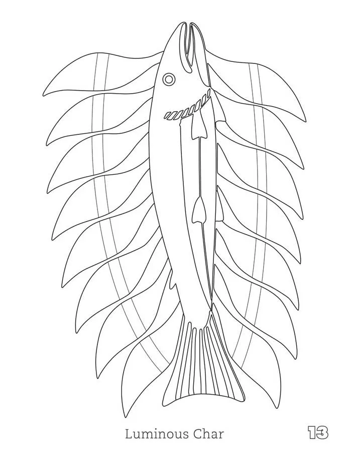 Indigenous Art Colouring Book / Livre à colorier d'art autochtone - Cape Dorset Artists