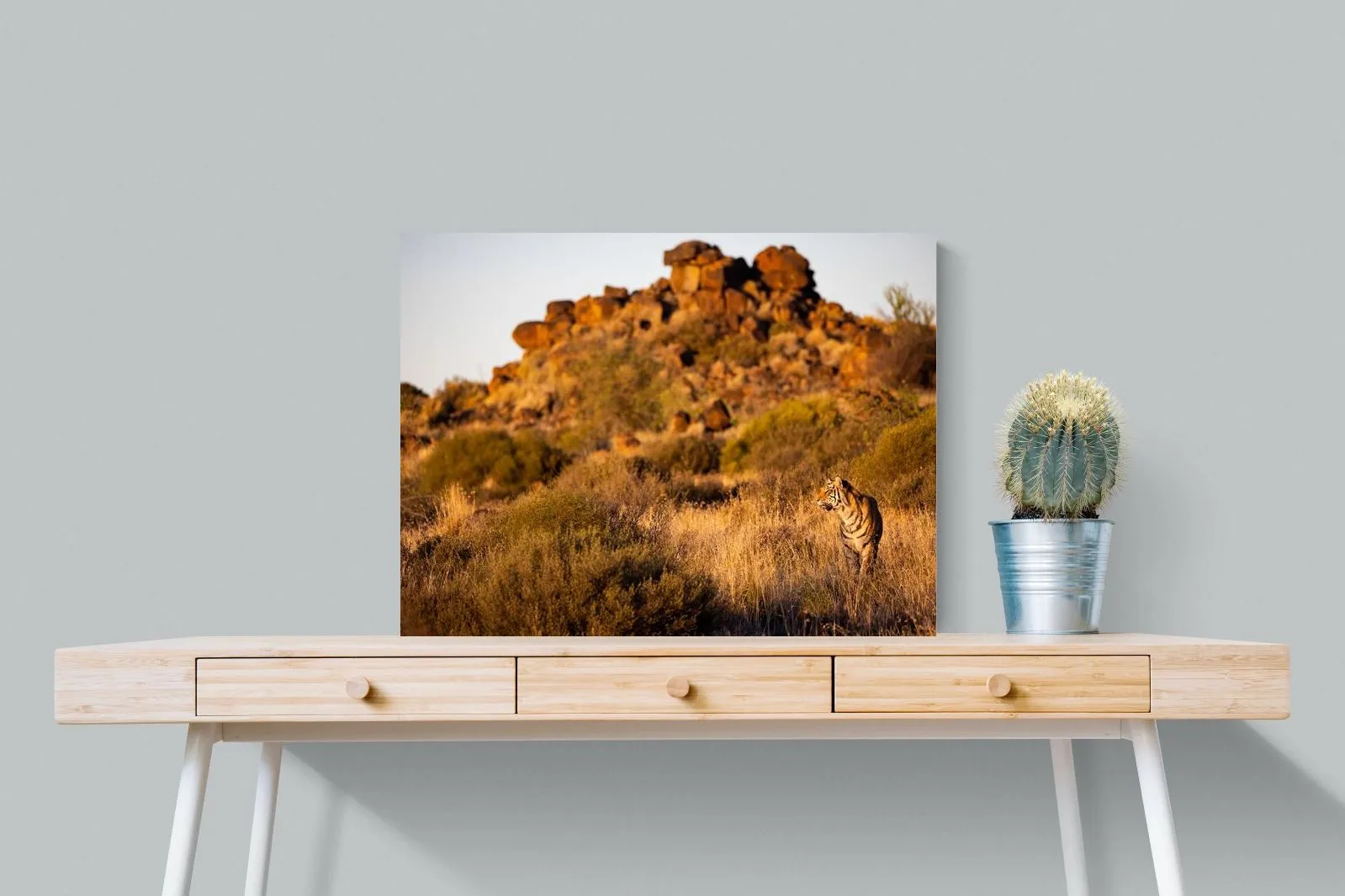 Tiger Landscape